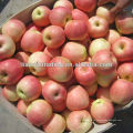 china fruta fuji apple